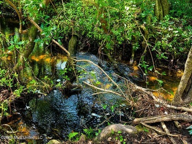 Enjoy the peaceful sounds of a bubbling creek on this beautiful - photo 10