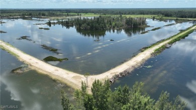 Lake Lot For Sale in Lehigh Acres, Florida