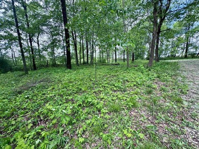 If you have been looking for a pole barn style getaway with - photo 31