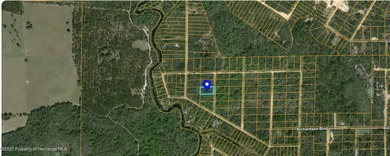 Withlacoochee River Lot For Sale in Webster Florida