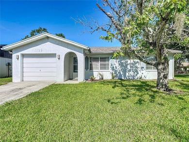 Skyview Lake Home Sale Pending in Lakeland Florida