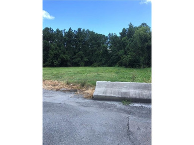 This lot is an ideal property for truck related business - photo 3