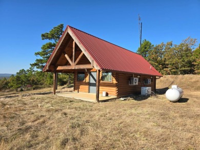 (private lake, pond, creek) Home For Sale in Wister Oklahoma