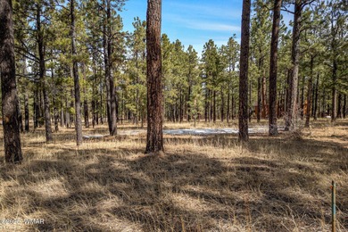 Little Colorado River Lot For Sale in Greer Arizona