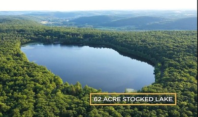Rare opportunity to own a large, former Scout Camp with a 60+/- - photo 2