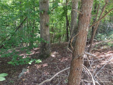 Lake Lure Lot For Sale in Lake Lure North Carolina