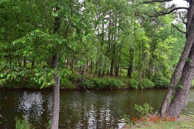 Five adjoining lots located off Big Duke Trail on Lake Hamilton - photo 1