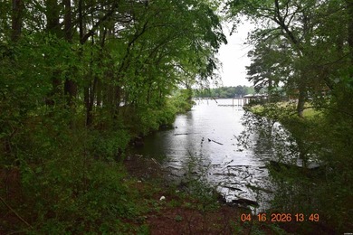 Five adjoining lots located off Big Duke Trail on Lake Hamilton - photo 2