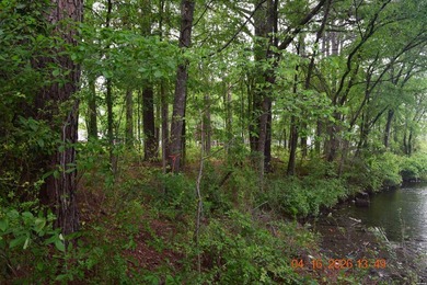 Five adjoining lots located off Big Duke Trail on Lake Hamilton - photo 3