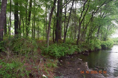 Five adjoining lots located off Big Duke Trail on Lake Hamilton - photo 4