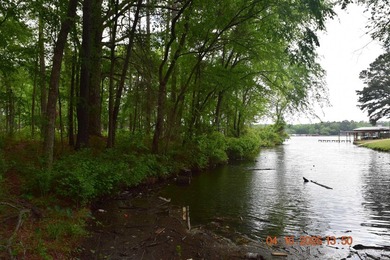 Five adjoining lots located off Big Duke Trail on Lake Hamilton - photo 5