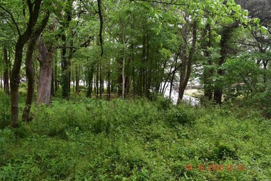 Five adjoining lots located off Big Duke Trail on Lake Hamilton - photo 8