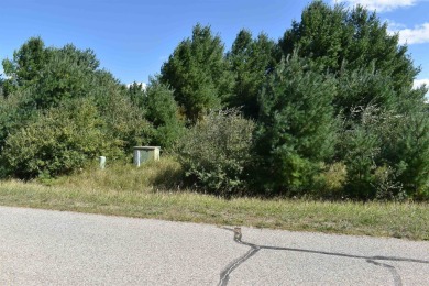  Lot For Sale in Gladwin Michigan