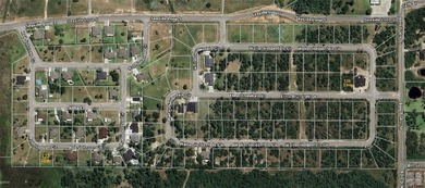 Discover the perfect canvas for your dream home in Lamar Pointe - photo 2