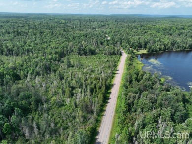 Gold Mine Lake Acreage For Sale in Ishpeming Michigan