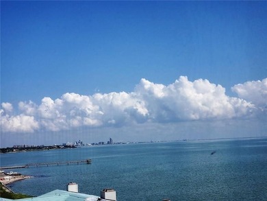 Amazing Corpus Christi Bay Views! Enjoy outstanding views of - photo 22