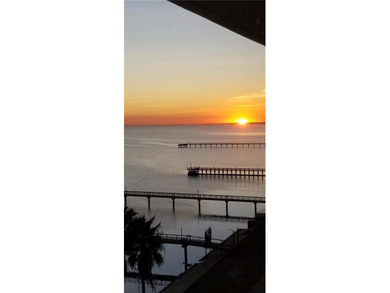 Amazing Corpus Christi Bay Views! Enjoy outstanding views of - photo 24