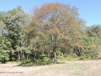 Lake Acreage For Sale in Shickshinny, Pennsylvania