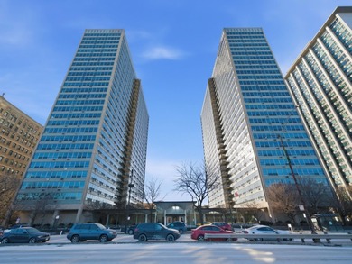 Lake Michigan - Cook County Condo For Sale in Chicago Illinois