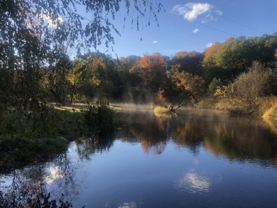 Lake Lot SOLD! in Free Soil, Michigan