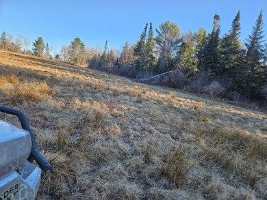 A beautiful location is ready for building with power at the - photo 4