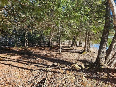 A beautiful location is ready for building with power at the - photo 5