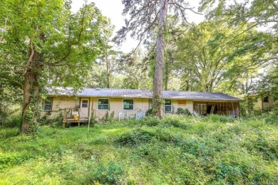 Lake Home For Sale in Ore City, Texas