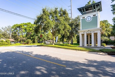 Luxury Lady's Island condominium in the highly sought-after - photo 46