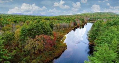 40 pristine wooded acres located in Parsonsfield on RT 160 with - photo 3