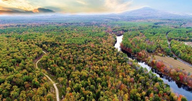 40 pristine wooded acres located in Parsonsfield on RT 160 with - photo 4