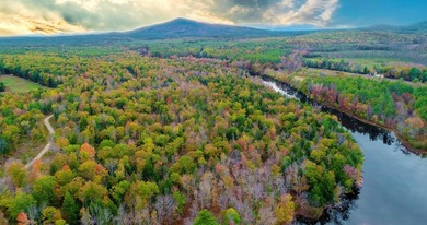 40 pristine wooded acres located in Parsonsfield on RT 160 with - photo 5