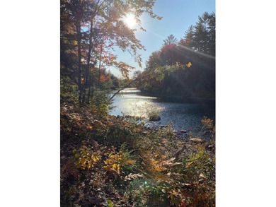 40 pristine wooded acres located in Parsonsfield on RT 160 with - photo 8