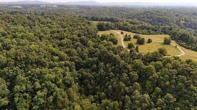 Build your dream home on this beautiful property in Stone Cliff - photo 11