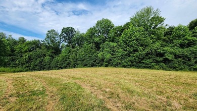 Build your dream home on this beautiful property in Stone Cliff - photo 12