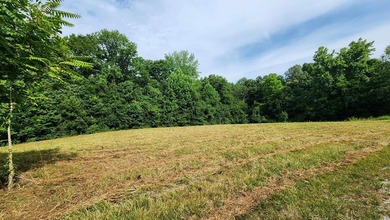 Build your dream home on this beautiful property in Stone Cliff - photo 13