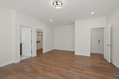 Welcome to 11806 S Heidtke Dr, a stunning new construction home - photo 15