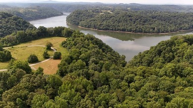Build your dream home on this beautiful property in Stone Cliff - photo 15