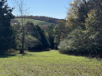 Chickamauga Lake Lot Sale Pending in Decatur Tennessee