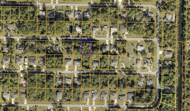 Northport Waterway Lakes and Canals Lot For Sale in North Port Florida