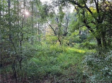 Large gorgeous wooded lot a stone's throw to HWY US 1. 25 - photo 2