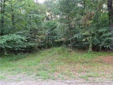 Large gorgeous wooded lot a stone's throw to HWY US 1. 25 - photo 3