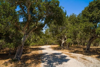 High above Carmel and Monterey Bay, this remarkable 27.13-acre - photo 3