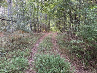 Large gorgeous wooded lot a stone's throw to HWY US 1. 25 - photo 4