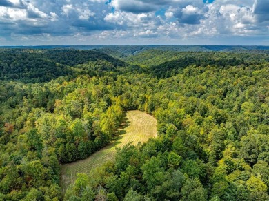 Lake Acreage For Sale in Wallingford, Kentucky