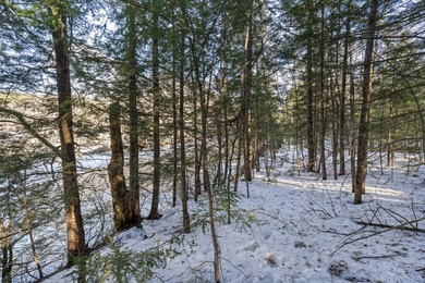 Welcome to Lot 6 within Bethel's newest subdivision, boasting - photo 8