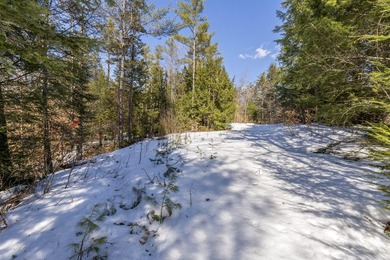 Welcome to Lot 6 within Bethel's newest subdivision, boasting - photo 9