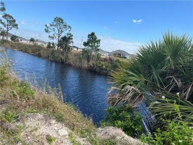 Awesome, fresh water canal in a growing area of Cape Coral. New - photo 2