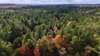 (private lake, pond, creek) Acreage Sale Pending in Tustin Michigan