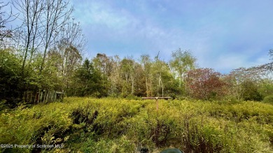 Acre Lake Acreage For Sale in Kingsley Pennsylvania