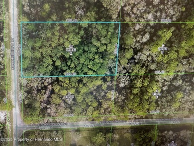 Withlacoochee River Lot For Sale in Ridge Manor Florida